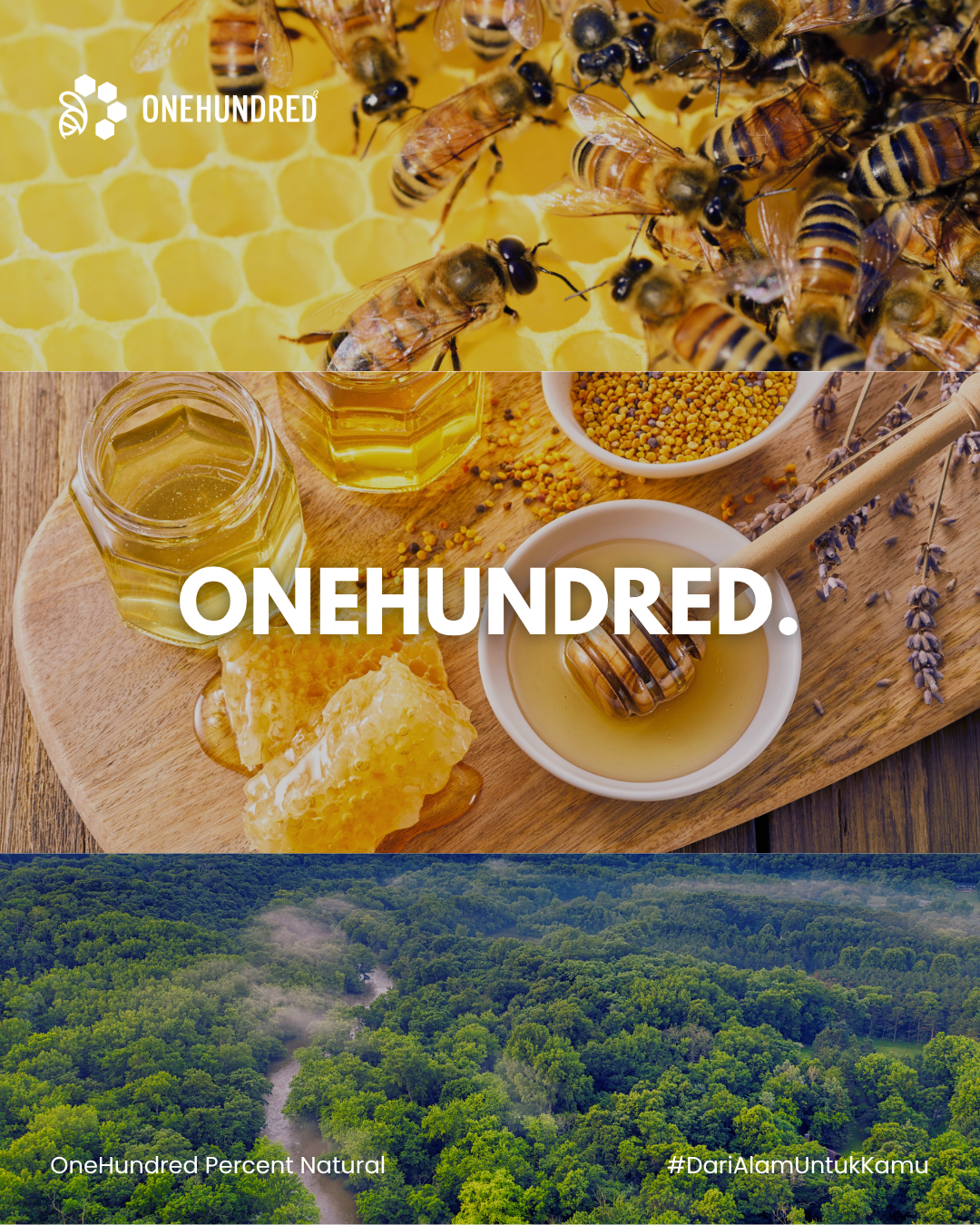 One Hundred Honey Branding Asset 7